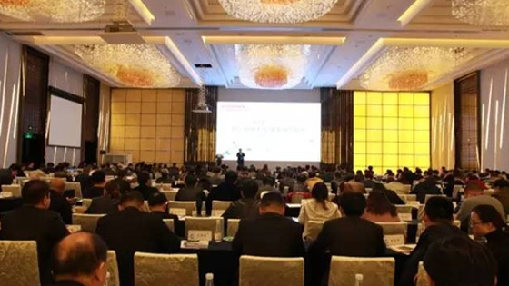 匠心驱动未来 服务精筑品质-2017USDT数字钱包电梯署理商大会